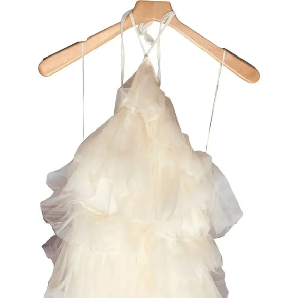 The Post Tiered Mesh Chiffon Ruffle Knee-Length Dress - Picture 2 of 12